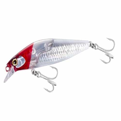 shimano silent assasin flash boost