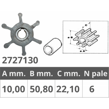GIRANTE RENAULT 48300037/55