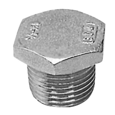 SS pipe cap 2"