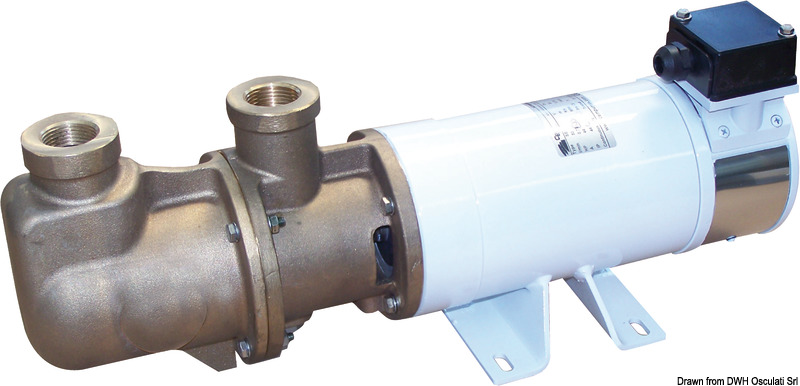 CEM Sbr self-priming electric pump bronze screw 24V