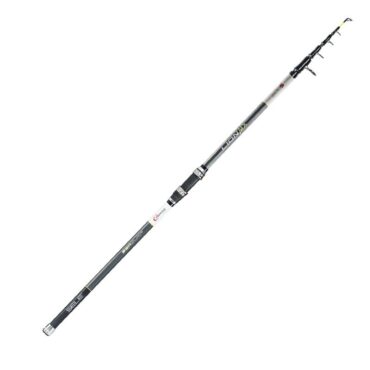 SELE LION MX - 153, 120