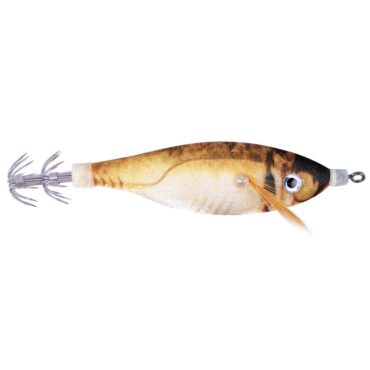 SUGOI ERAGON SQUID - DBR
